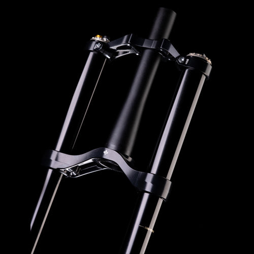 FORMULA BELVA AIR 29" Widelec Axle 15x110mm Boost Black