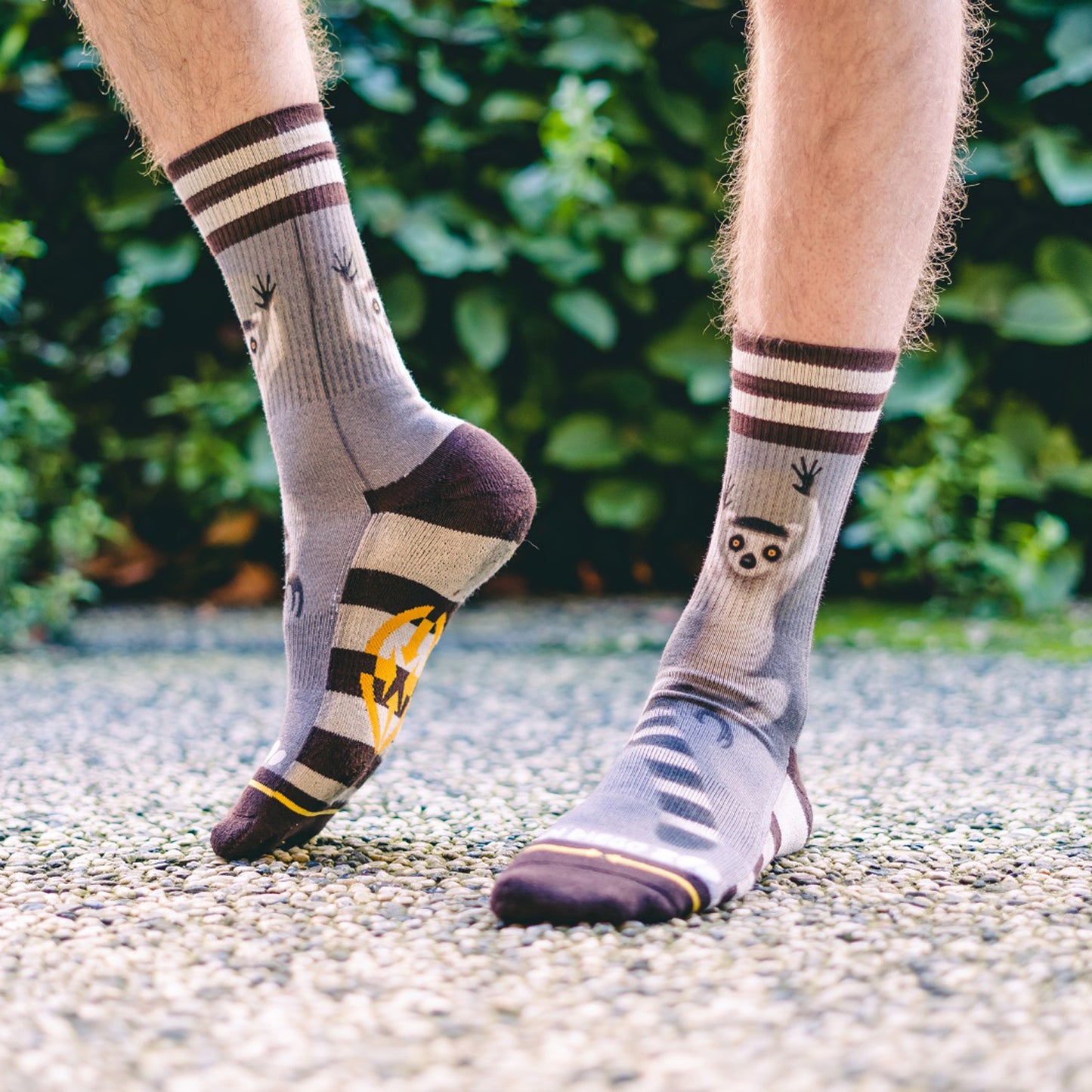 Skarpety MERGE4 RING TAIL LEMUR