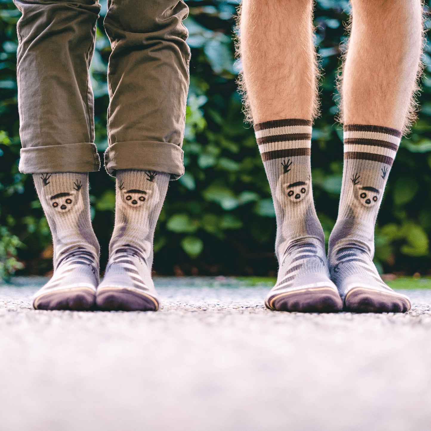 Skarpety MERGE4 RING TAIL LEMUR