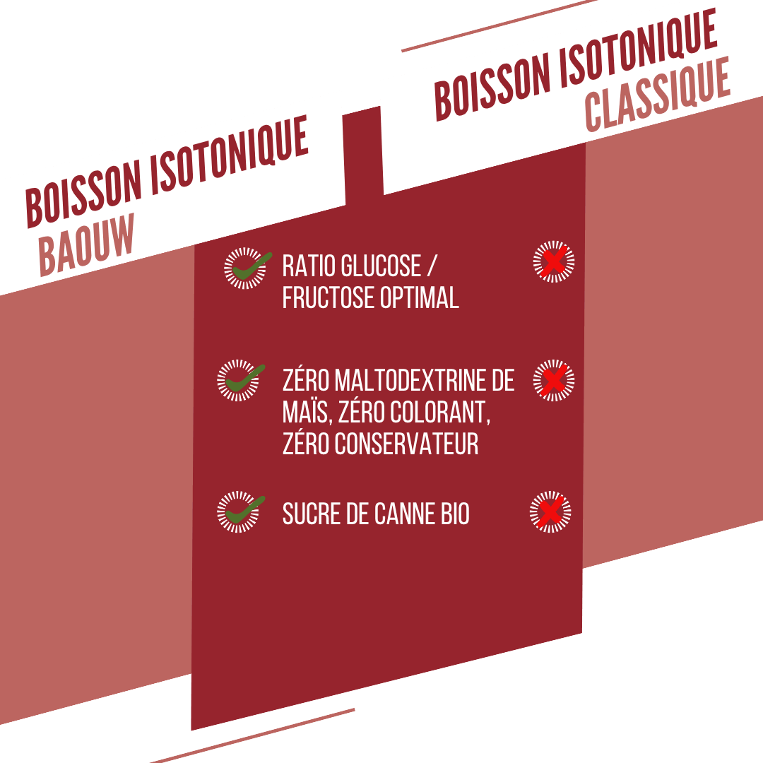 BAOUW ISOTONIC Energy Drink (45g) Arbuz/Granat