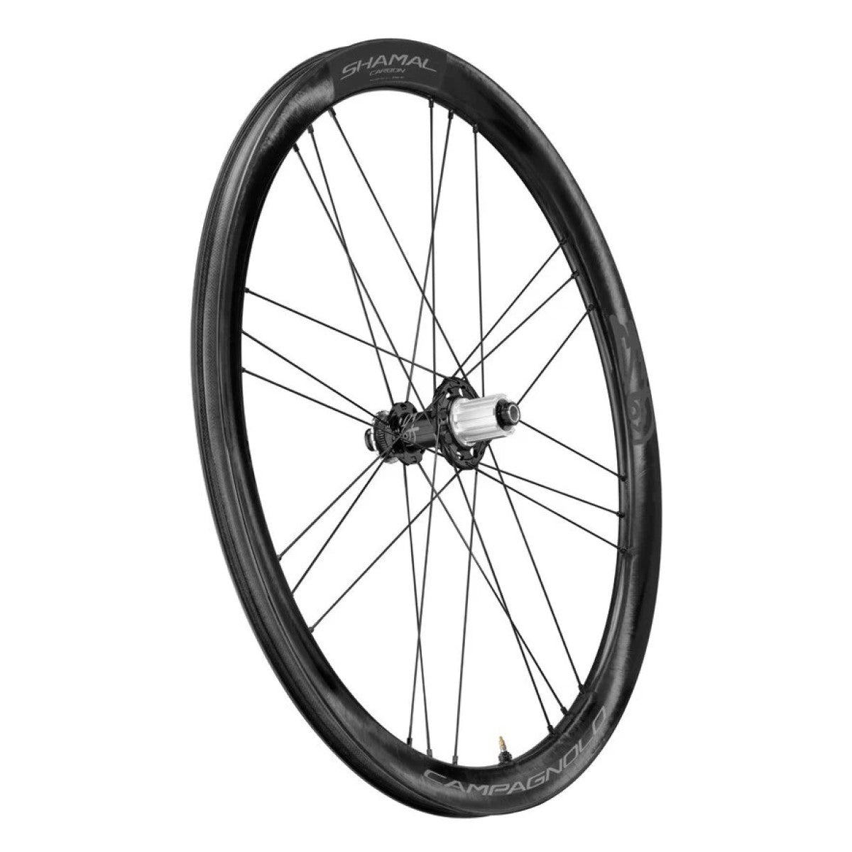 Tylne koło CAMPAGNOLO SHAMAL DISC Tubeless Ready (centralna blokada)