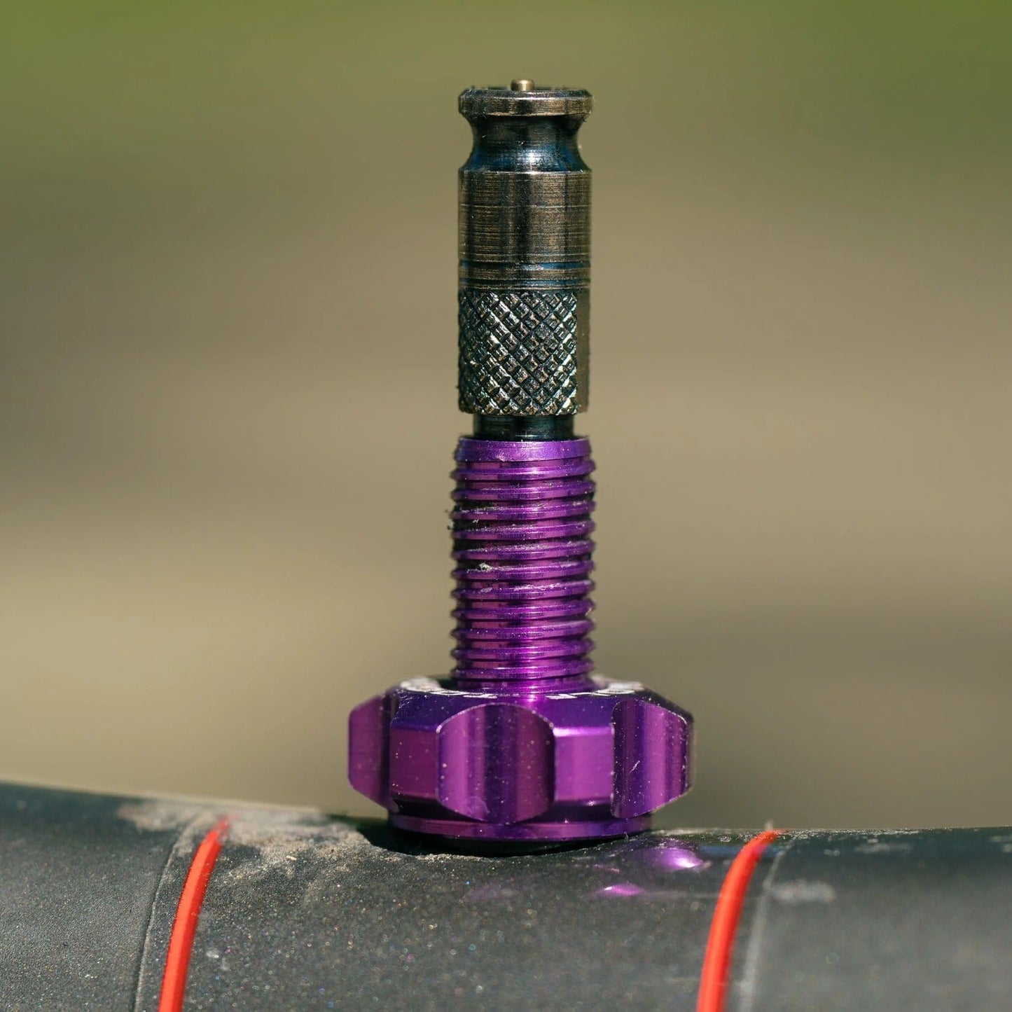 Tubeless Valve WOLF TOOTH CLIK VALVE Ultraviolet Purple