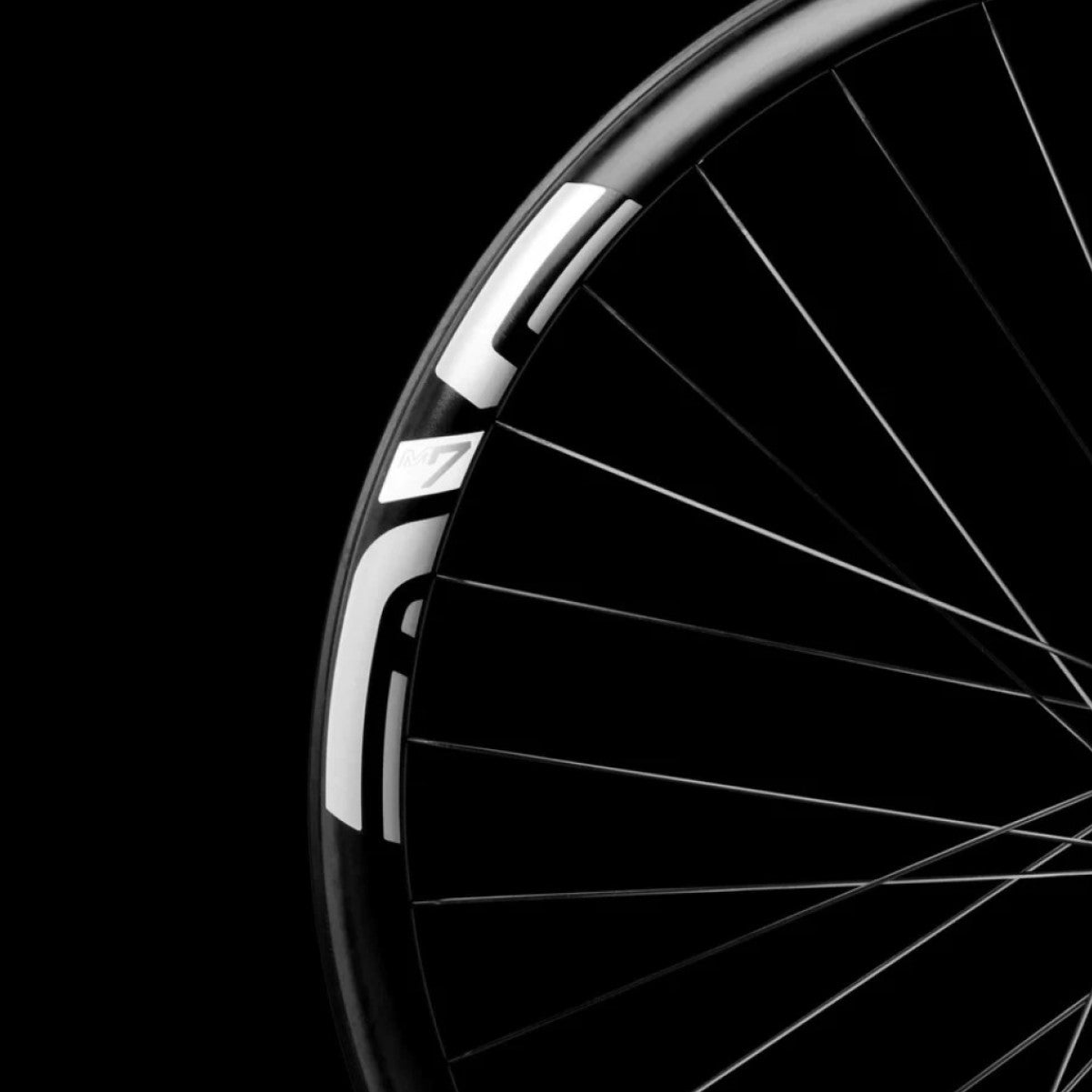 Para karbonowych kół ENVE M730 HYDRA 29" 15x110/12x148mm Boost 6 Hole Black