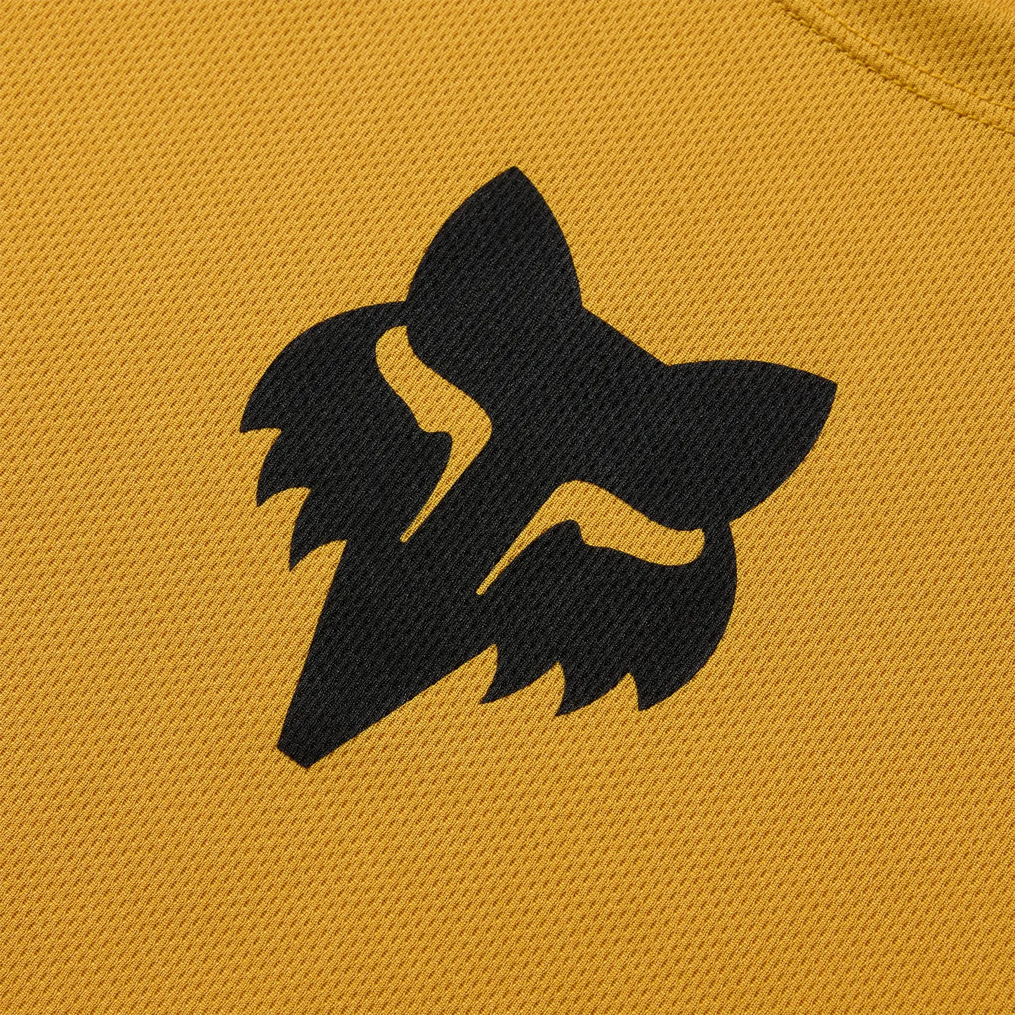 Koszulka juniorska z krótkim rękawem FOX RANGER HEAD brązowa