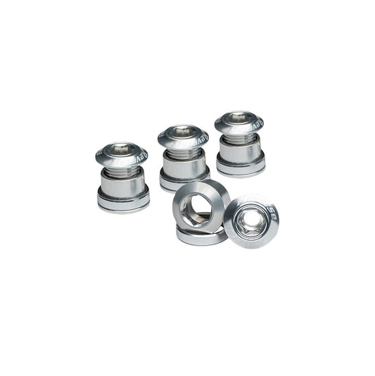 Set of 4 REVERSE COMPONENTS Chimney Screws Silver