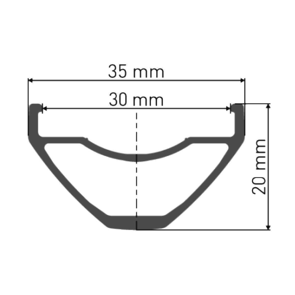 DT SWISS H 1900 SPLINE 30 mm 29" 15x110 mm Boost front wheel