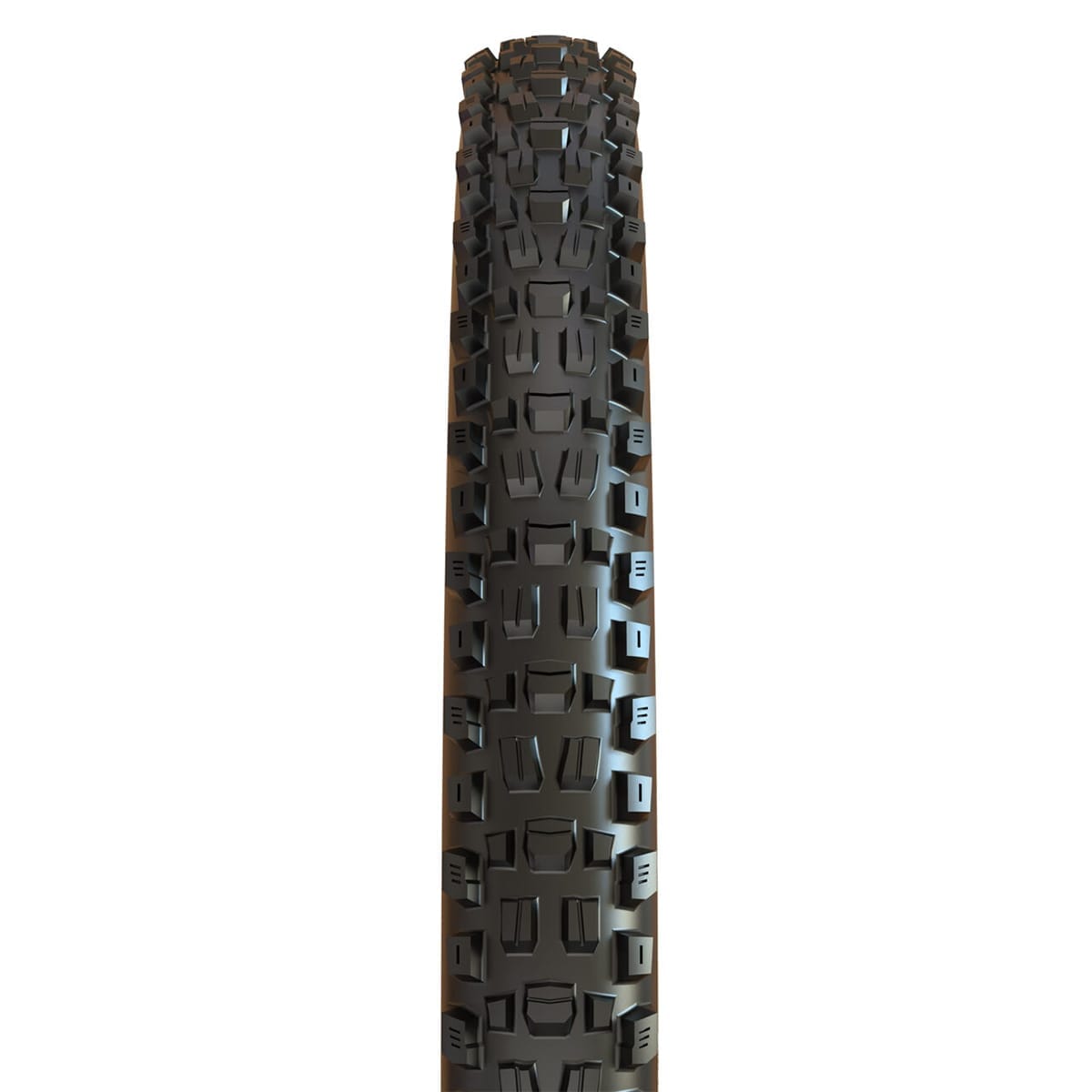 MAXXIS ASSEGAI 29x2.50 WT BikePark DH Tubeless Ready Sztywna opona czarna