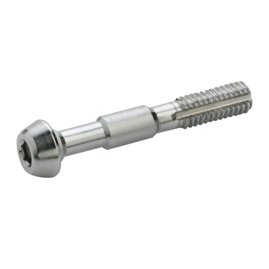 Set of 2 ELVEDES M6 screws for Shimano Banjo
