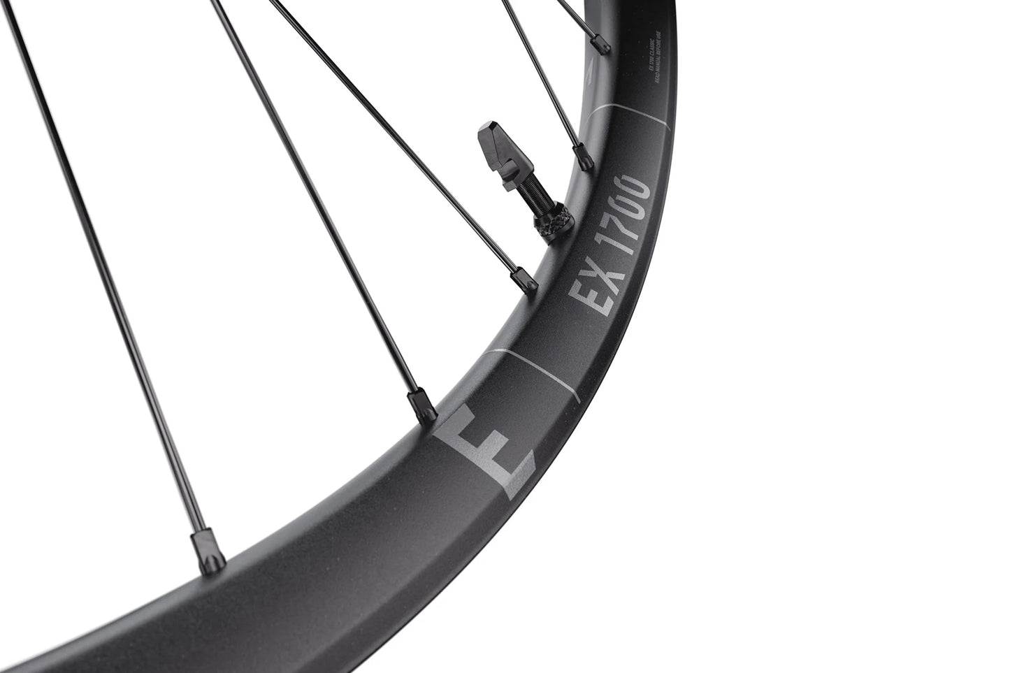 DT SWISS EX 1700 SPLINE 30 mm 29" 12x148 mm Boost 2026 rear wheel