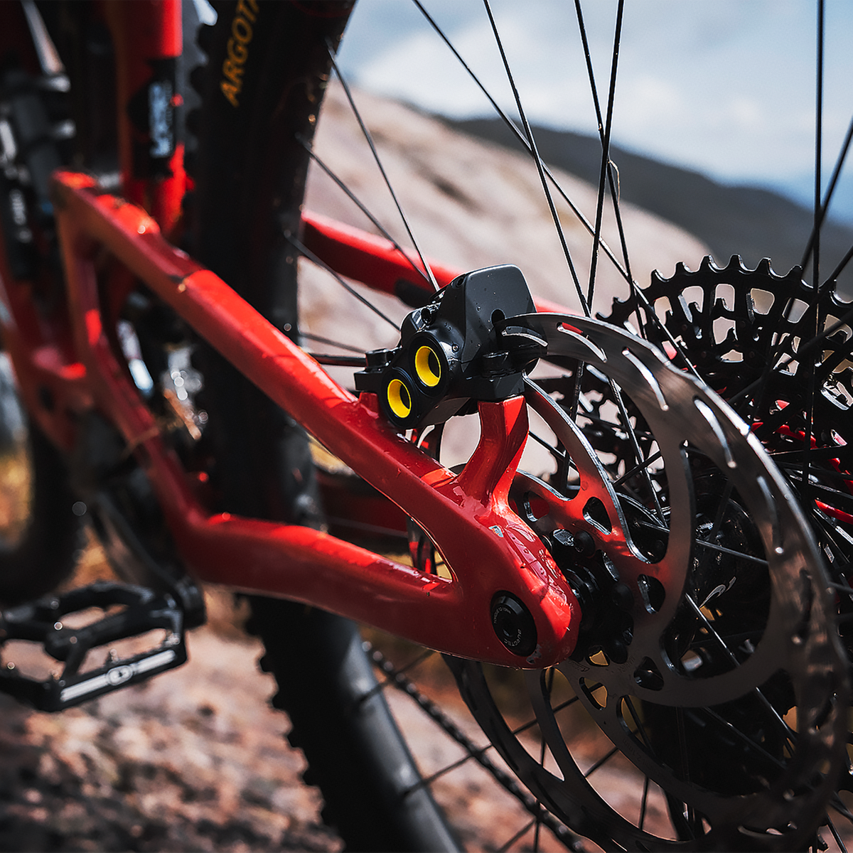 Pair of Magura Gustav Pro brakes (with discs) Pack First Edition