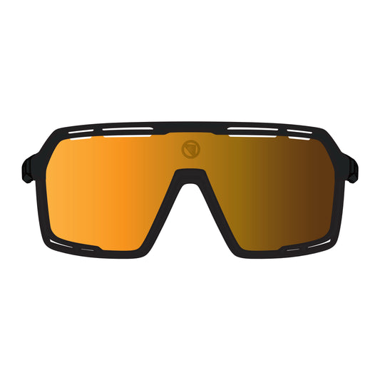 ENDURA PRO SL Goggles Black 2025