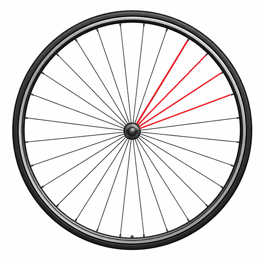 CAMPAGNOLO PEŁNA SZPRYCHA TYLNA LEWA ZONDA (4 SZT.)