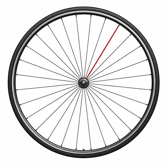 CAMPAGNOLO KOMPLETNE PRZEDNIE SZPRYCHY SHAMAL C17 (1 SZT.)