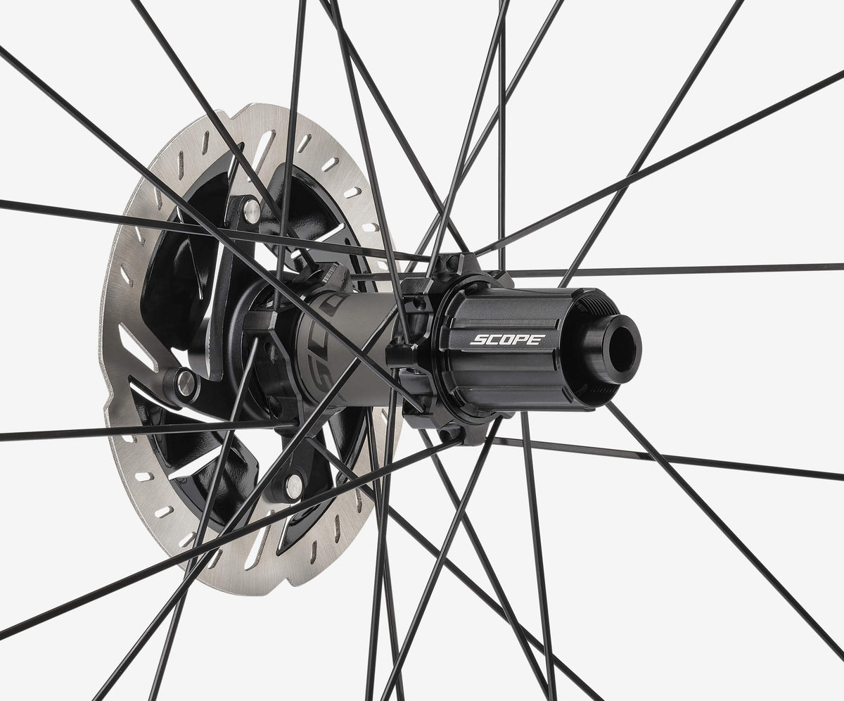 Piasta Sport Series