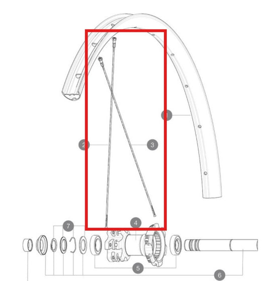 ZESTAW 12 TYLNYCH SZPRYCH MAVIC CROSSMAX LIGHT 29'' 294MM