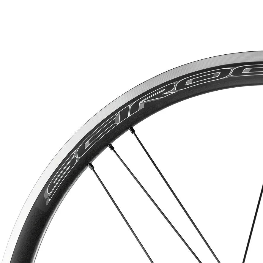 Tylne koło z oponami CAMPAGNOLO SCIROCCO 35 C17