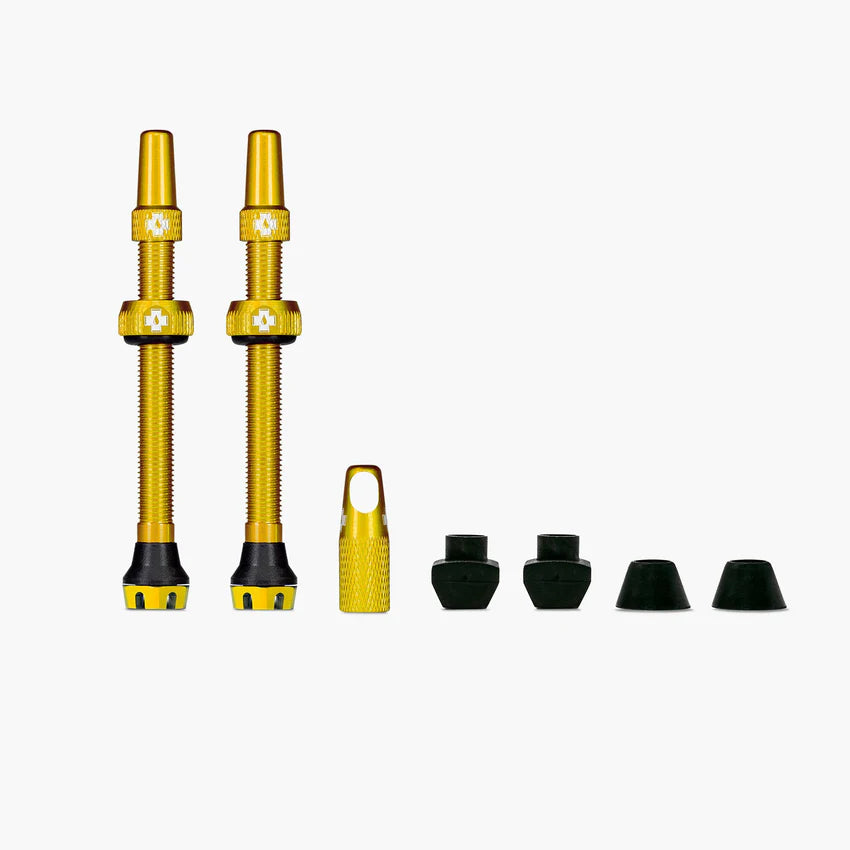 Zawory bezdętkowe V2 MUC-OFF Gold